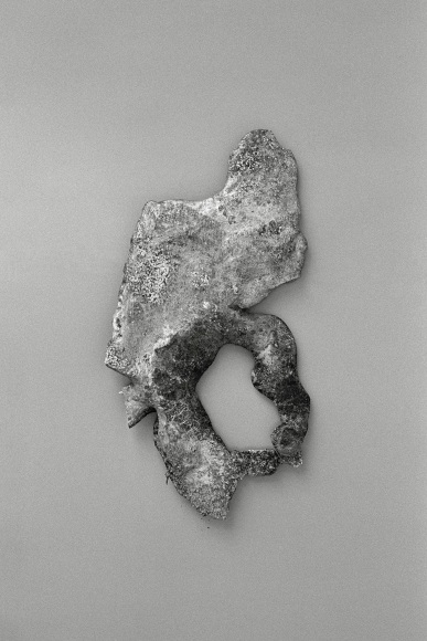 Object #1, 2023-24, Inkjet print, 30.5 x 45 cm