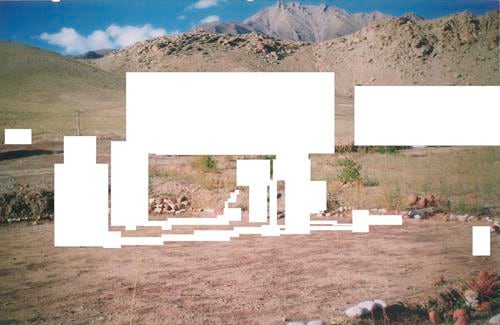 Nitasha Dhillon Kaksar, 2010