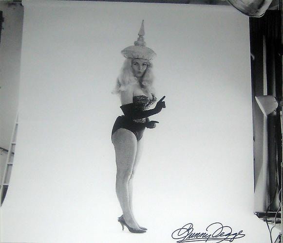 Bunny in Handmade Costume from the &quot;Artist &amp;amp; Models Ball&quot; - Miami, FL