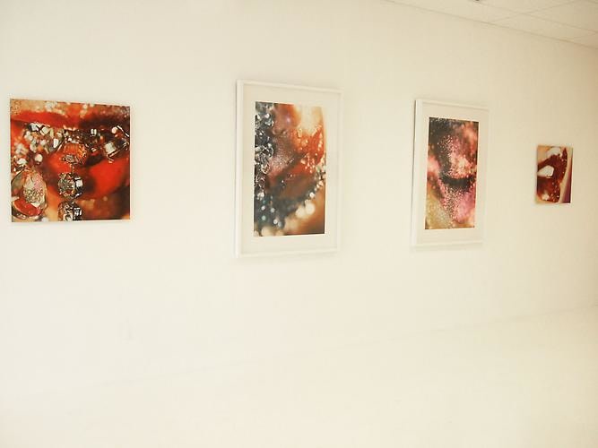 Installation View Gavlak Gallery