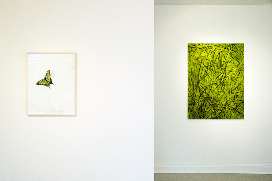 Palm Beach Summer Show 2015