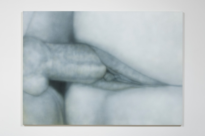 Fuck Painting #52, 2014, Acrylic on canvas