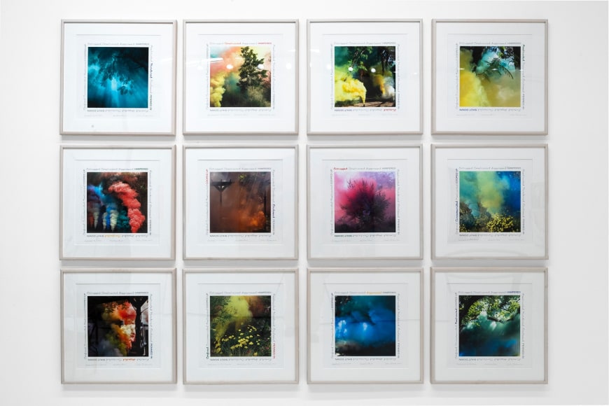 Judy Chicago, Garden Smoke, 2020