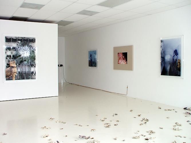 Installation View Gavlak Gallery