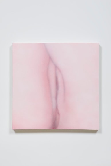 Betty Tompkins Cunt Painting #23, 2015
