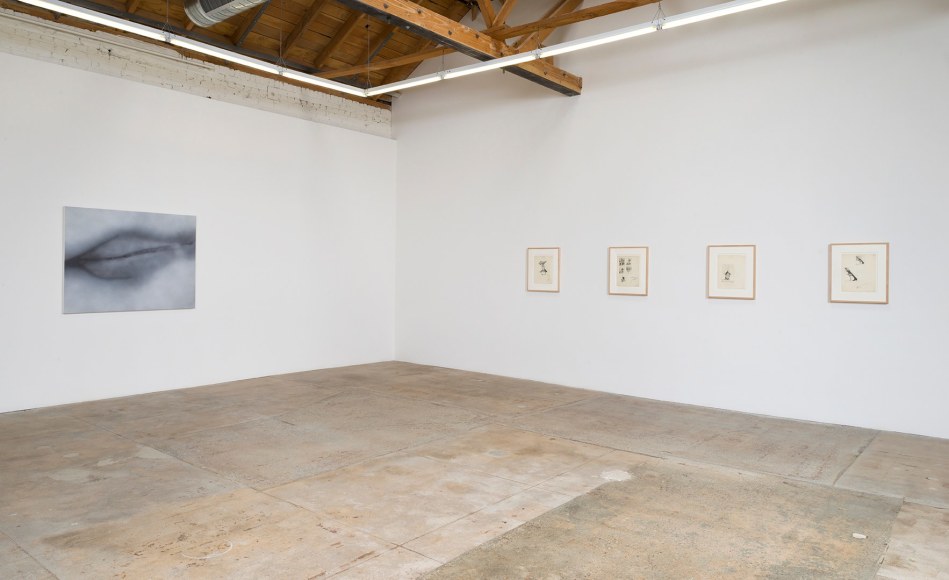 Installation view of Betty Tompkins Sex Works / WOMEN Words, Phrases and Stories