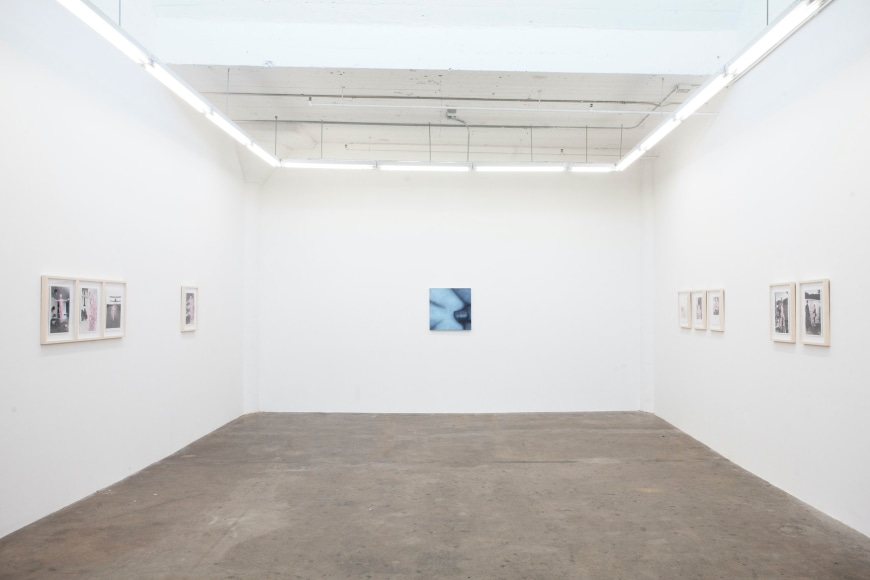Installation view Betty Tompkins: Some Sex, Lots of Talking (2021)