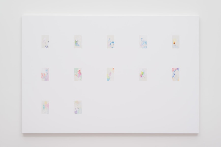 iPhone Paintings 46-57 Fourth Quarter 2016, 2017, Archival inkjet print and acrylic on canvas