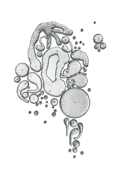 Rob Wynne SILVER SHIFT, 2021