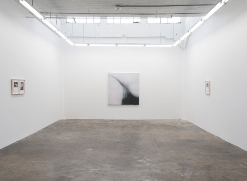 Installation view Betty Tompkins: Some Sex, Lots of Talking (2021)
