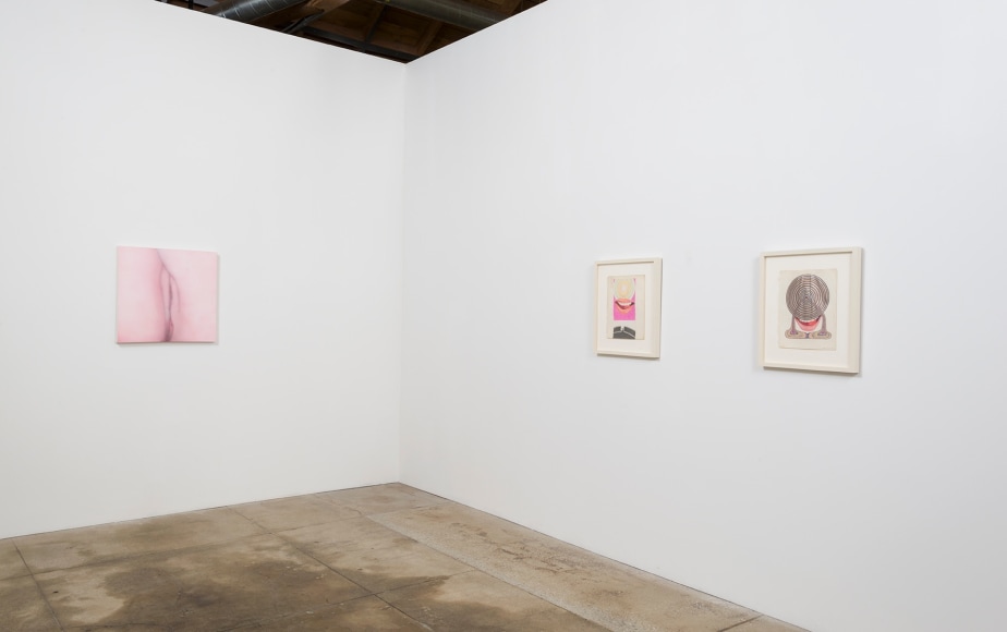 Installation view of Betty Tompkins Sex Works / WOMEN Words, Phrases and Stories