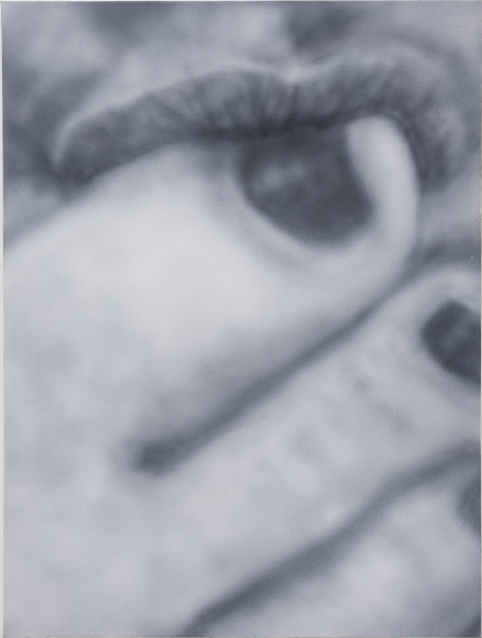 Betty Tompkins, Sex Painting #7, 2020