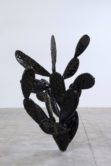 Finish Fetish, 2015