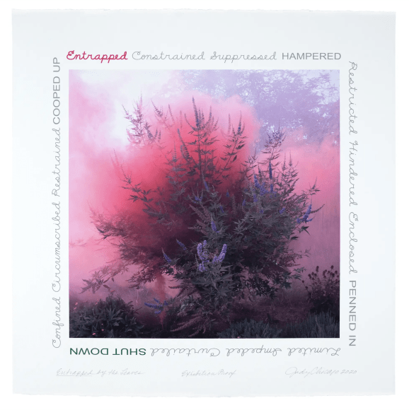 Judy Chicago Garden Smoke, 2020