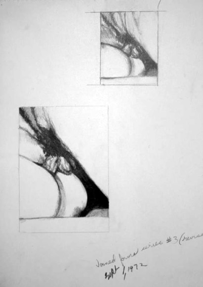 Betty Tompkins Fuck Drawing #3 revised, 1972