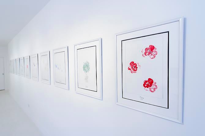 Aleksandra Mir & Andy Warhol: "The Meaning of Flowers" & "Wild Raspberries"