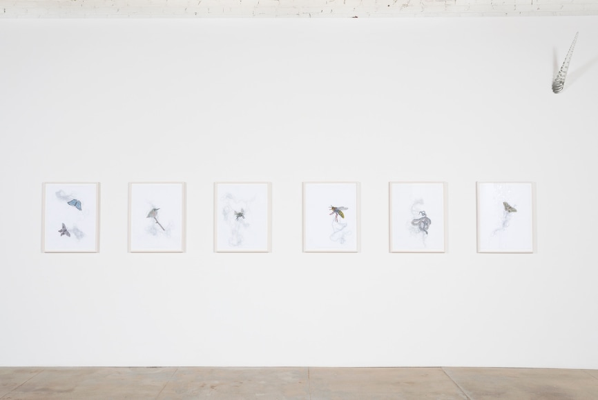 Rob Wynne, The Backstage of the Universe Install, GAVLAK Los Angeles