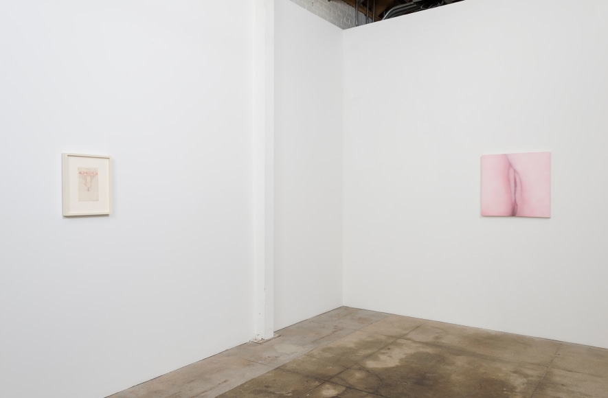 Installation view of Betty Tompkins Sex Works / WOMEN Words, Phrases and Stories