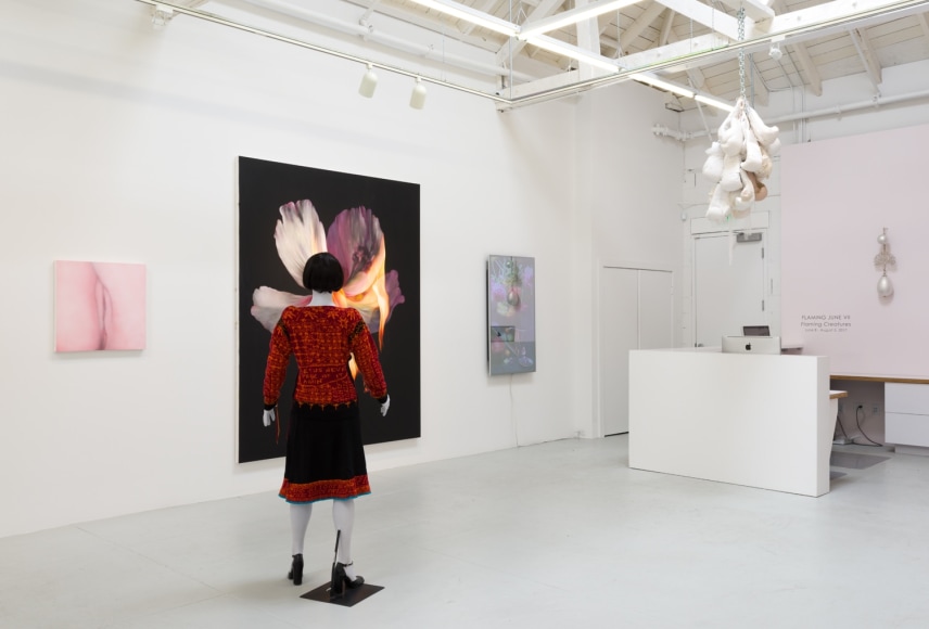 Installation view of "Flaming June VII (Flaming Creatures)"