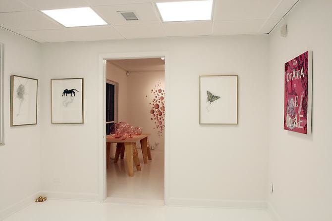 Installation View &quot;Kismet&quot;