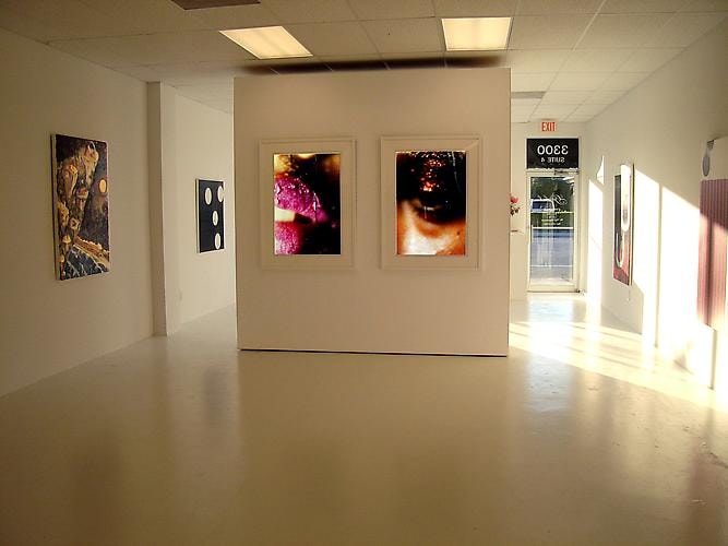 Installation View Gavlak Gallery