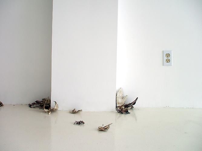 Installation View Gavlak Gallery