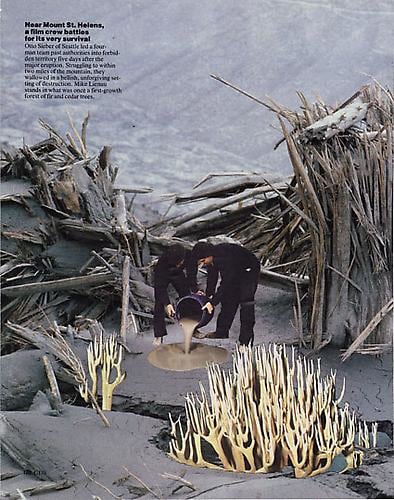 Forgiving. Destruction, 2009