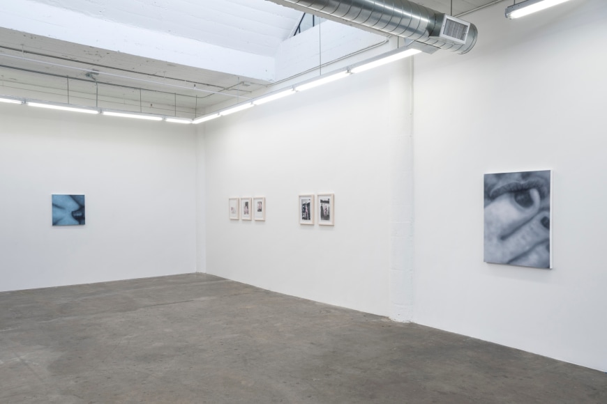 Installation view Betty Tompkins: Some Sex, Lots of Talking (2021)