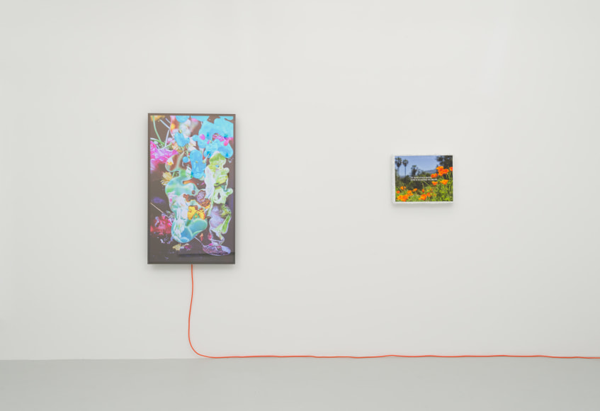 Installation view of Michael Manning&nbsp;Cheap Vacation