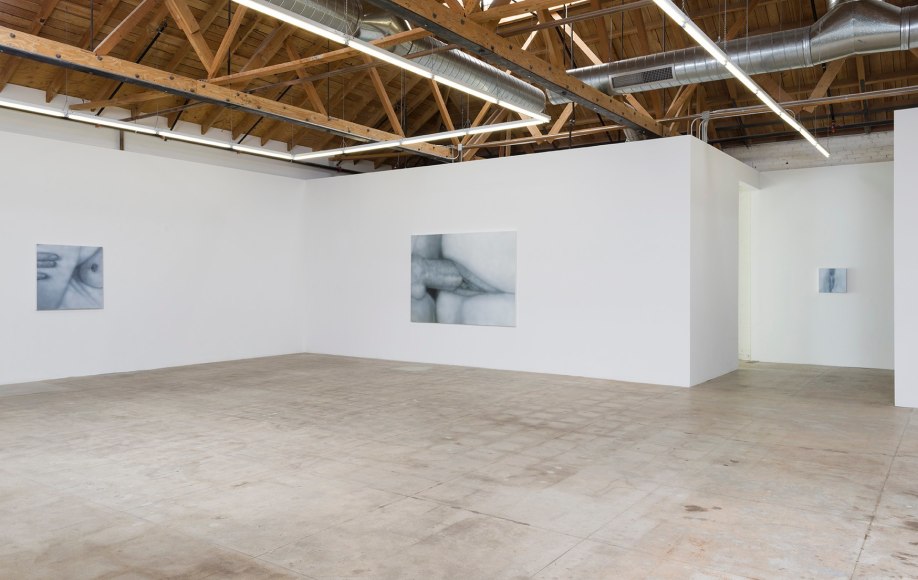 Installation view of Betty Tompkins Sex Works / WOMEN Words, Phrases and Stories