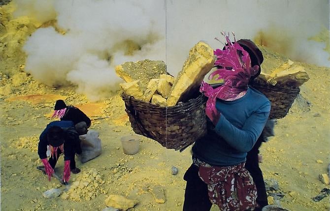 Harvest, 2009 Collage on paper