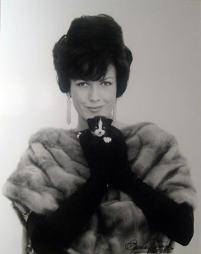 Bunny with Kitten - Miami, FL