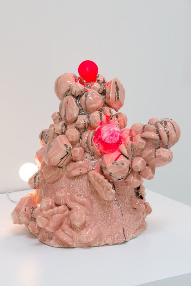 Kelly Lamb, Untitled, Mixed Emotions, 2017