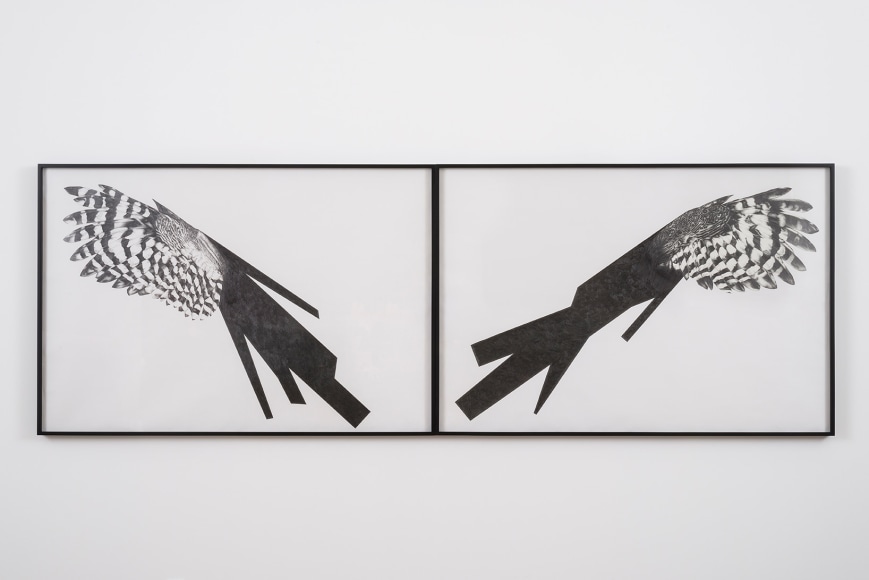 Yuval Pudik, Mother's Only Son: Ambidextrous 1 &amp; 2 , 2013-2015