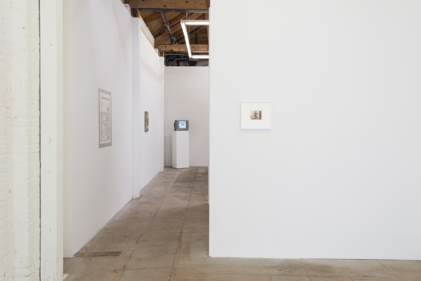 Installation view of "Not I, We"