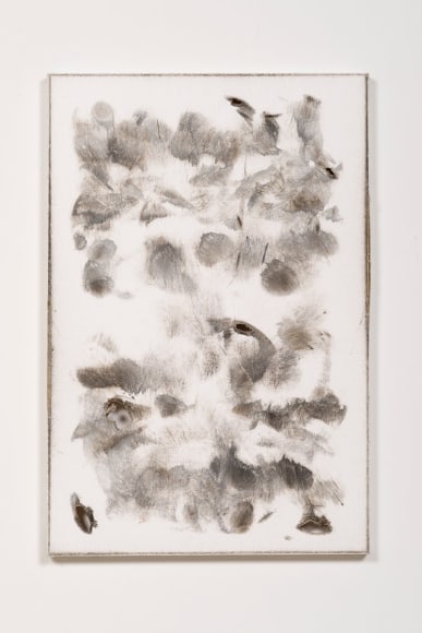 Derek Paul Boyle Kingsley Dr, 2014
