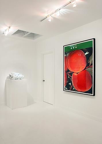 Installation View Gavlak Gallery