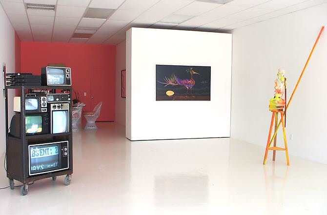 Installation View The Second Palm Beach Biennial, 2008