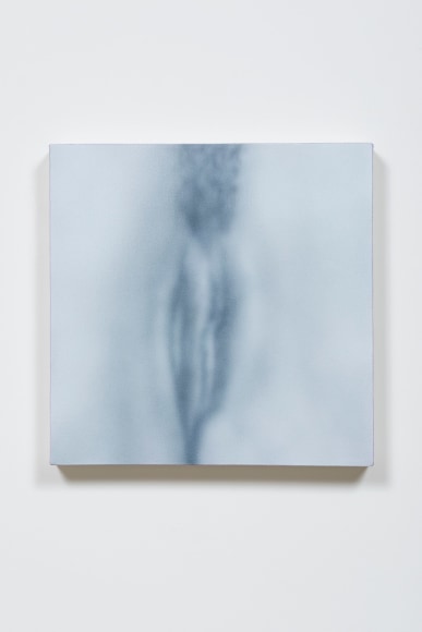 Pussy Painting #18, 2012, Acrylic on canvas