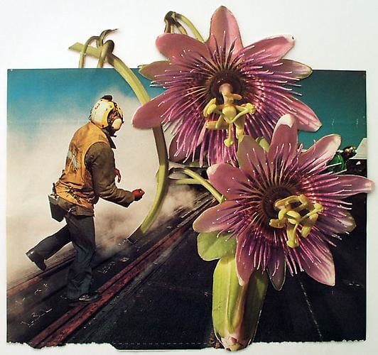 Flight Deck Discharge, 2009