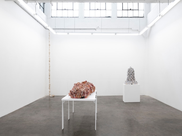 Installation view, Cannons Buried in Flowers, 2023