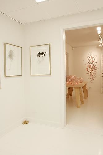 Installation View &quot;Kismet&quot;