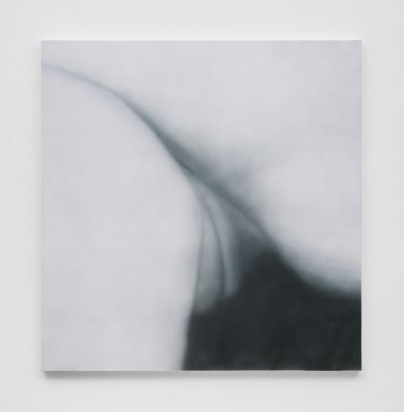 Betty Tompkins, Cunt Painting #30, 2021