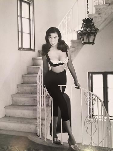 Bunny on the Stairwell at Evan&#039;s House - Miami Beach, FL