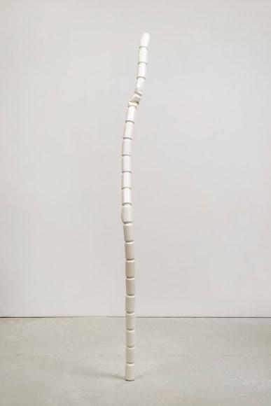 Vincent Szarek White Wizard, 2015