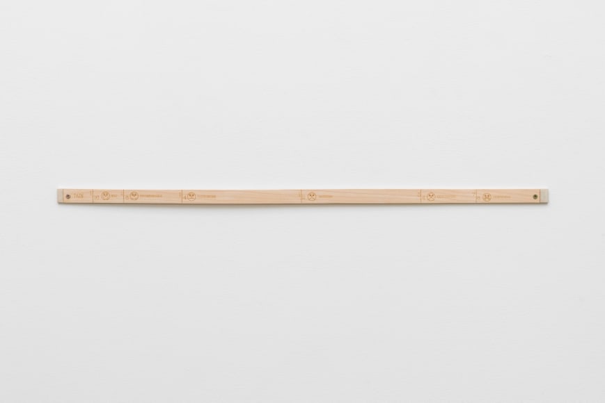 Cristine Brache Pain Ruler, 2019