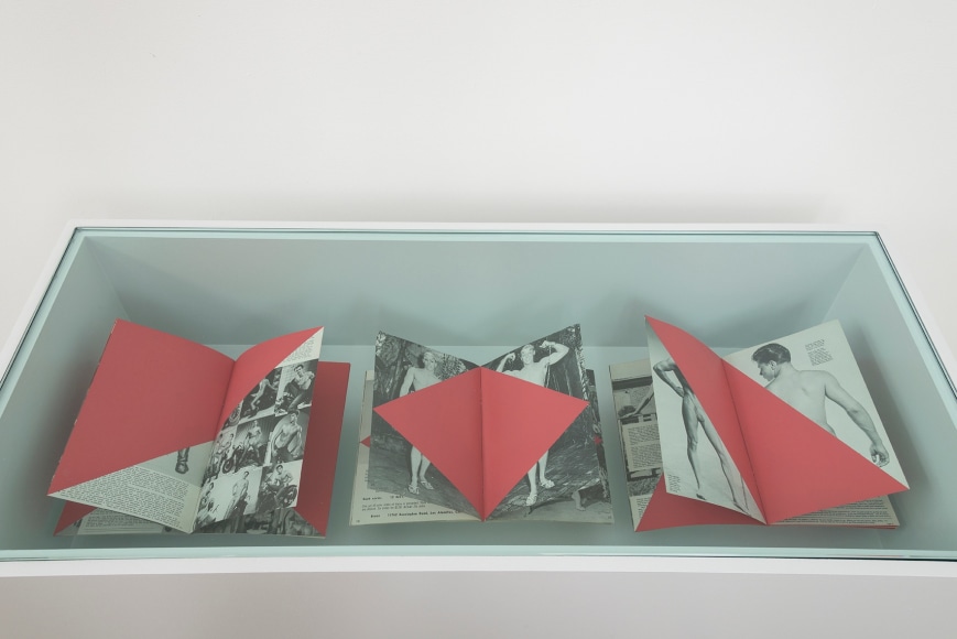 Yuval Pudik, Pamphlet No 1, No 2, No 5, 2014 - 2015