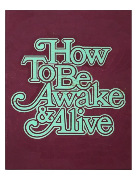Andrew Brischler, How to Be Awake & Alive, 2018