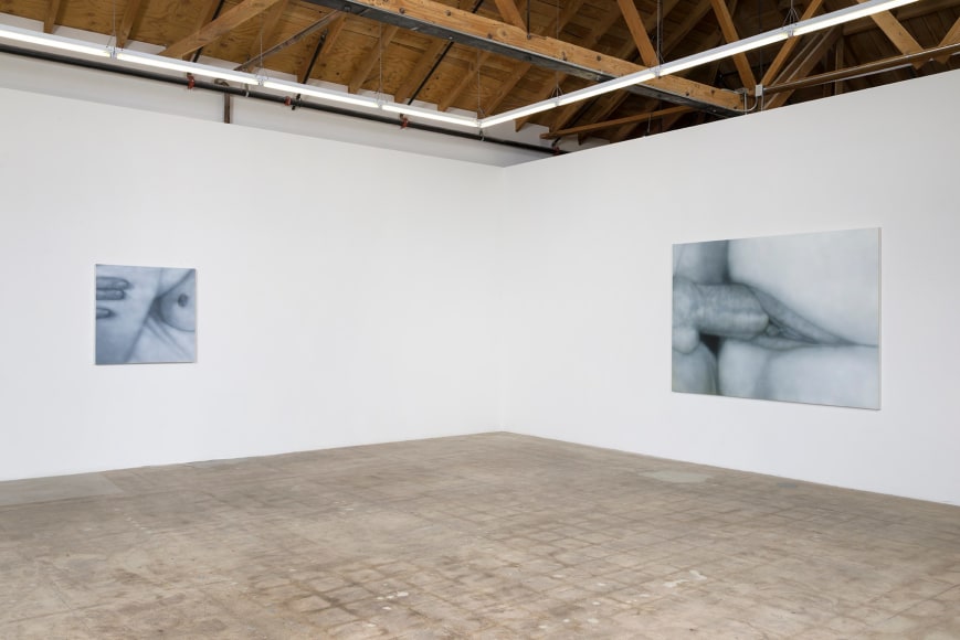 Installation view of Betty Tompkins Sex Works / WOMEN Words, Phrases and Stories