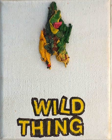 Betty Tompkins  Wild Thing, 2015